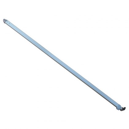 Leg