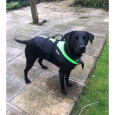Baltic Dog & Pet Buoyancy Aid - Mascot