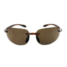 Evolution Novara (Brown)