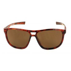Evolution Bayport (Tortoise)