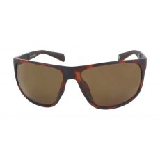 Evolution Coast (Tortoise)