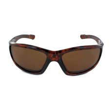 Evolution Latitude (Tortoise)