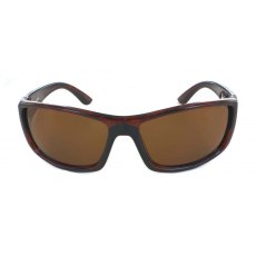 Evolution Rockport (Tortoise)