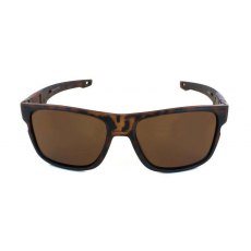 Evolution Slide (Brown)