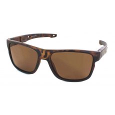 Evolution Slide (Brown)