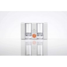 Flamefield 4Pk Slim Jim Clear