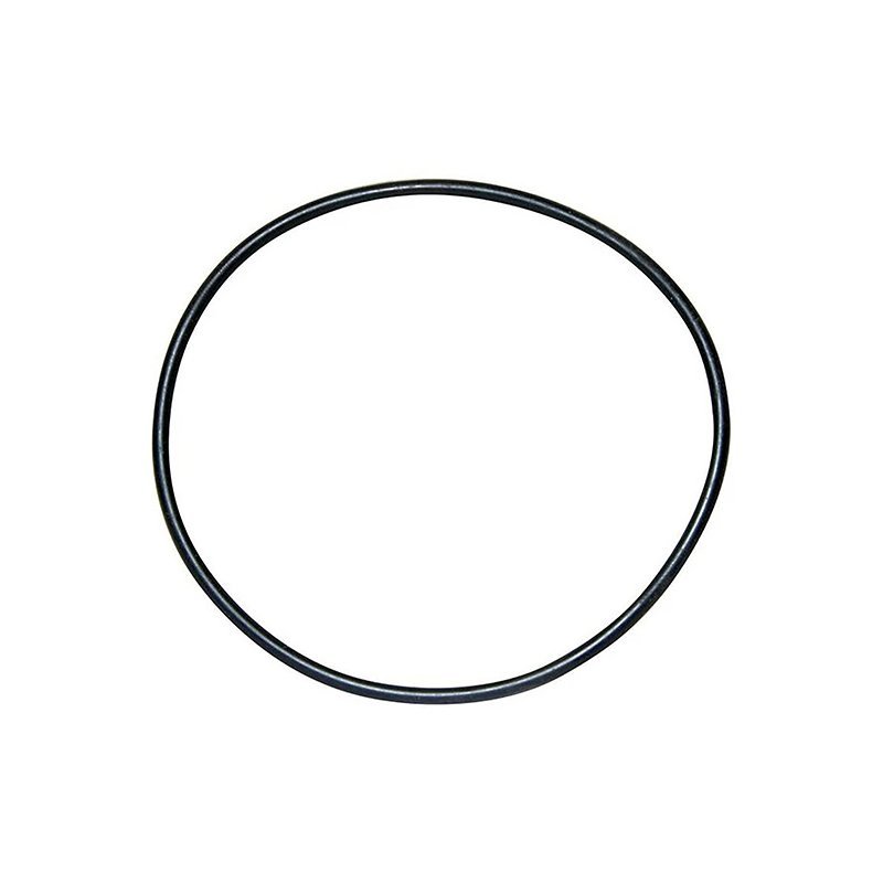 Guidi Guidi Neoprene O-Ring For Strainers 14882 X 353 mm