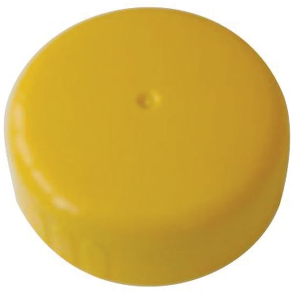 Thetford Thetford Dump Cap