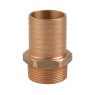Guidi Guidi Bronze Hose Connector M 2 in x 50 mm