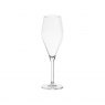 Gimex Royal Line Champagne Glass 250ml 2 Pieces