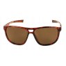 Evolution Eyewear Evolution Bayport (Tortoise)