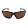 Evolution Latitude (Tortoise)
