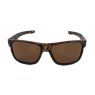 Evolution Slide (Brown)