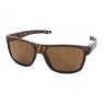 Evolution Slide (Brown)