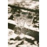 Flamefield  Flamefield 4Pk Crystal Wine Glass
