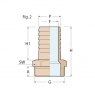 Guidi Brass Hose Connector M 2 in x 50 mm